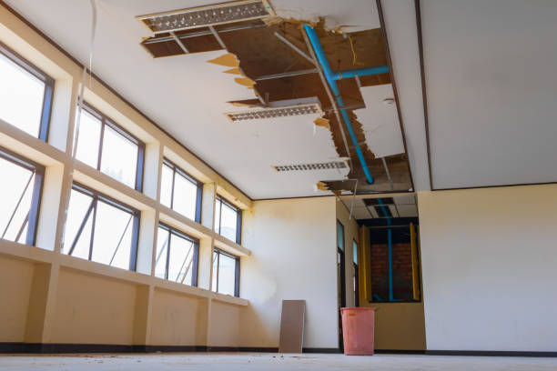 Best Carpet water damage restoration  in Skyline View, PA