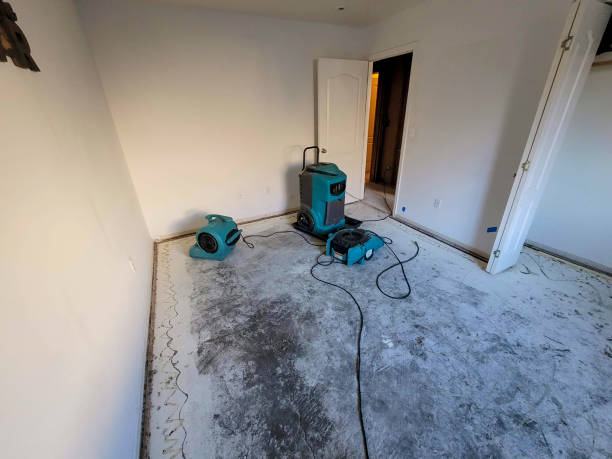 Best Local water damage restoration  in Skyline View, PA