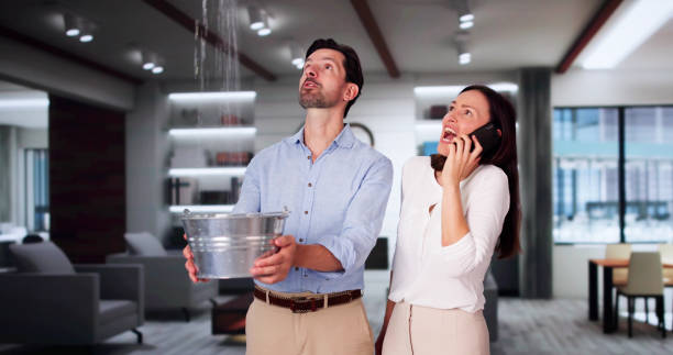 Best Water damage cleanup near me  in Skyline View, PA