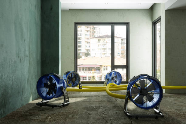 Best Emergency water damage restoration  in Skyline View, PA