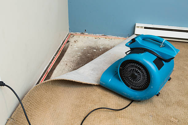 Best Basement water damage restoration  in Skyline View, PA